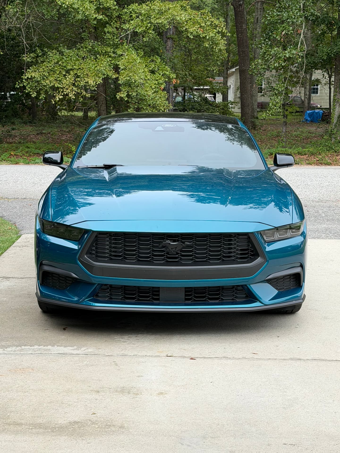 Front view of a blue Ford Mustang showing its windshield
