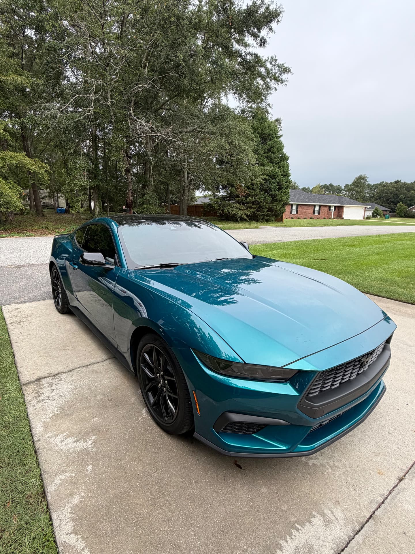 Blue Ford Mustang with dark side windows parked on a driveway